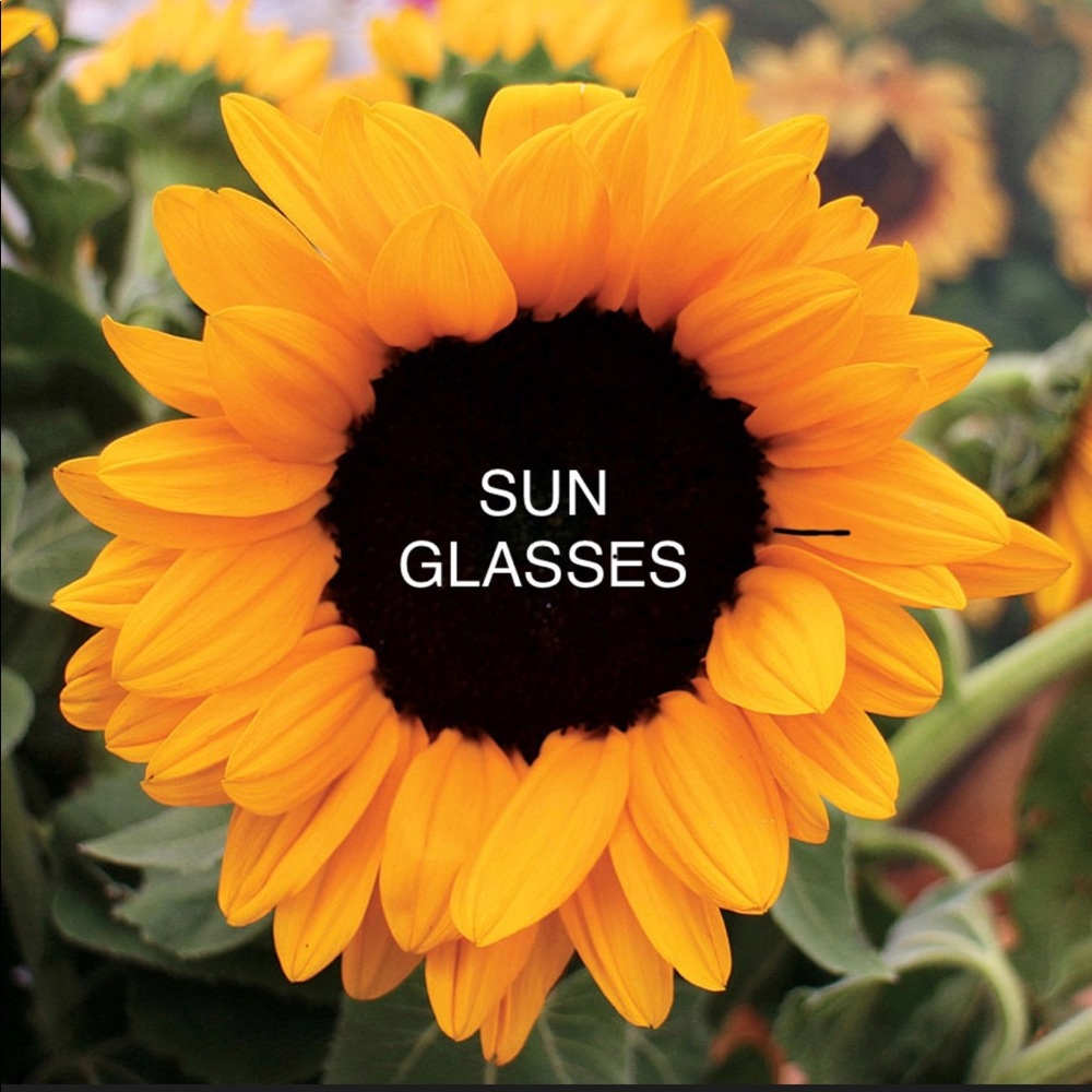 S U N G L A S S E S